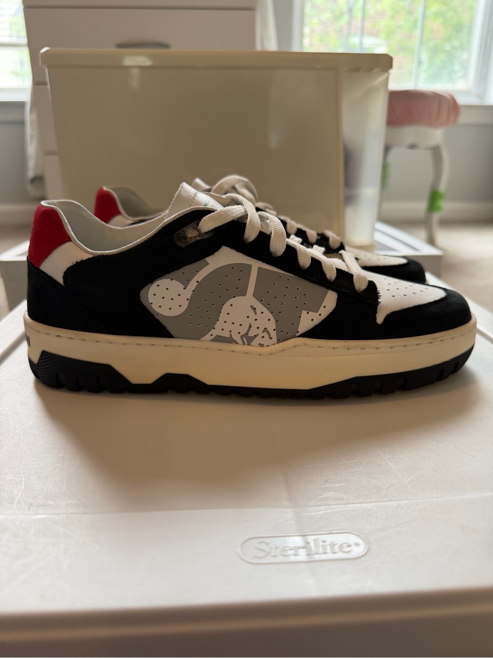 Unisex P448 AlphaTauri sneakers 36